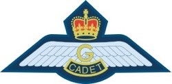 Glider pilot wings