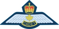 Power pilot wings