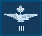 Level 3