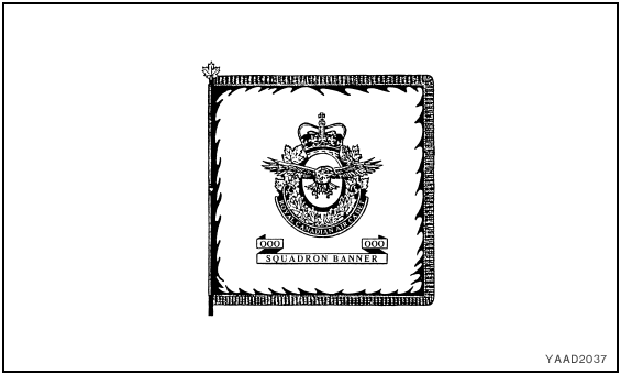Squadron banner